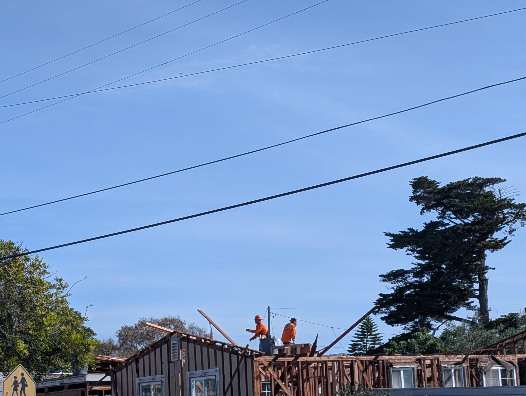 WhatsApp Image 2026-04-15 at 1.18.11 PM