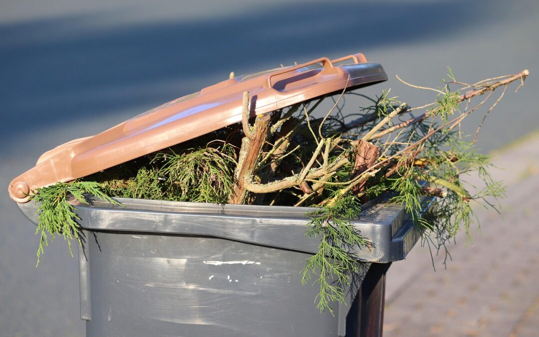 yard waste disposal San Diego